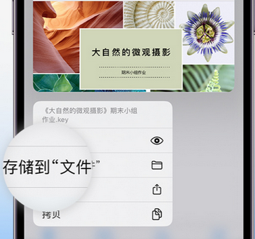 江海apple维修中心分享iPhone文件应用中存储和找到下载文件