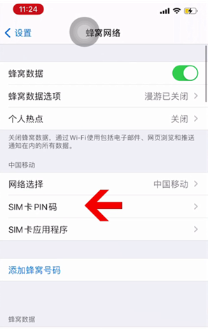 江海苹果14维修网分享如何给iPhone14的SIM卡设置密码 