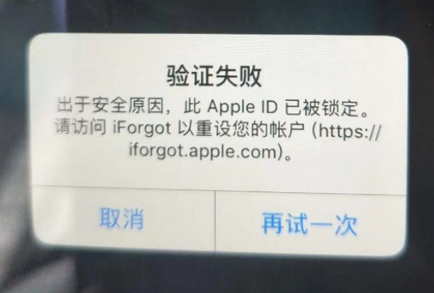 江海iPhone维修分享iPhone上正常登录或使用AppleID怎么办 