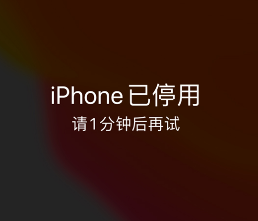 江海苹果手机维修分享:iPhone 显示“不可用”或“已停用”怎么办？还能保留数据吗？ 