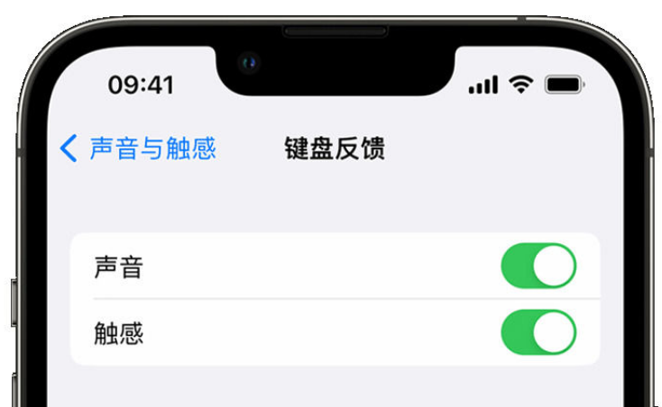 江海苹果手机维修分享iPhone 14触感键盘使用方法 