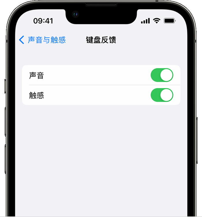 江海苹果14维修店分享如何在 iPhone 14 机型中使用触感键盘 