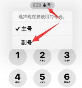 江海苹果14维修店分享iPhone 14 Pro Max使用副卡打电话的方法 