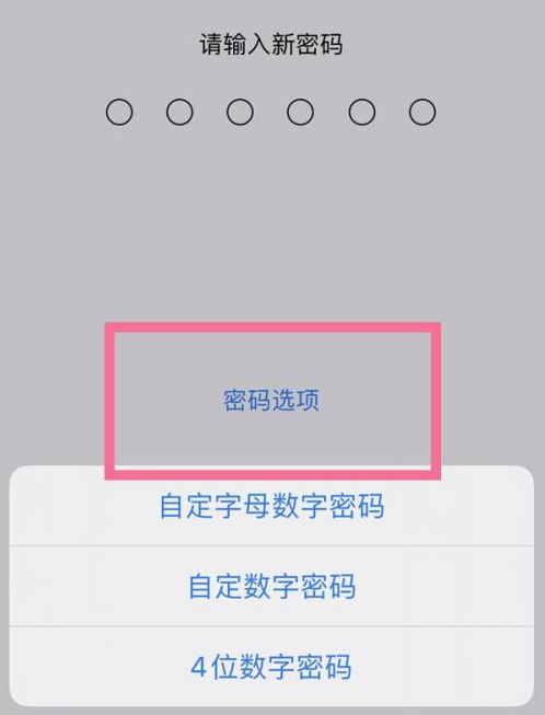 江海苹果14维修分享iPhone 14plus设置密码的方法 