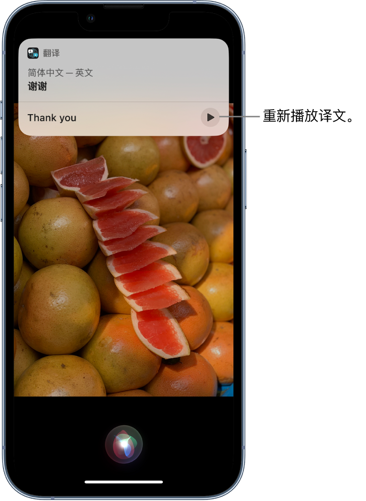 江海苹果14维修分享 iPhone 14 机型中使用 Siri：了解 Siri 能帮你做什么 