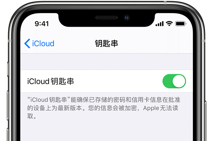 江海苹果手机维修分享在 iPhone 上开启 iCloud 钥匙串之后会储存哪些信息 